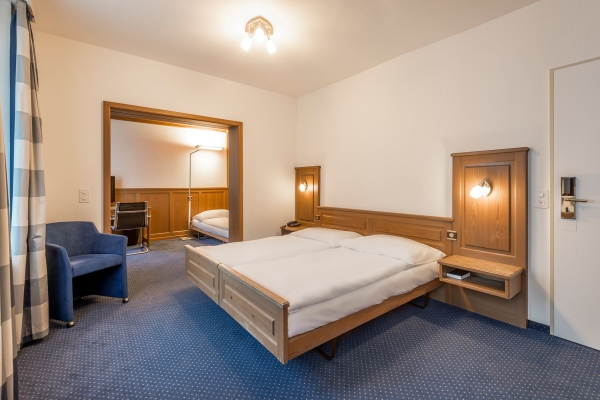 Hotel Alpina